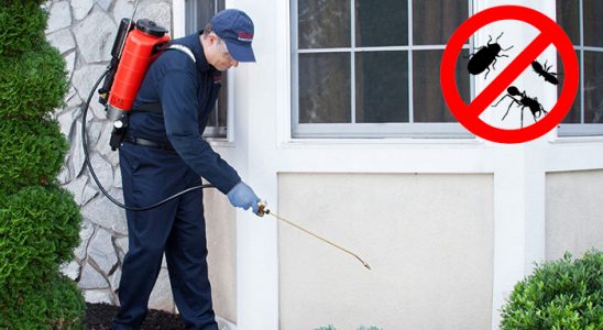 Keçiborlu Pire İlaçlama böcek ilaçlama ve haşere kontrolü — ilaclama-tr.com